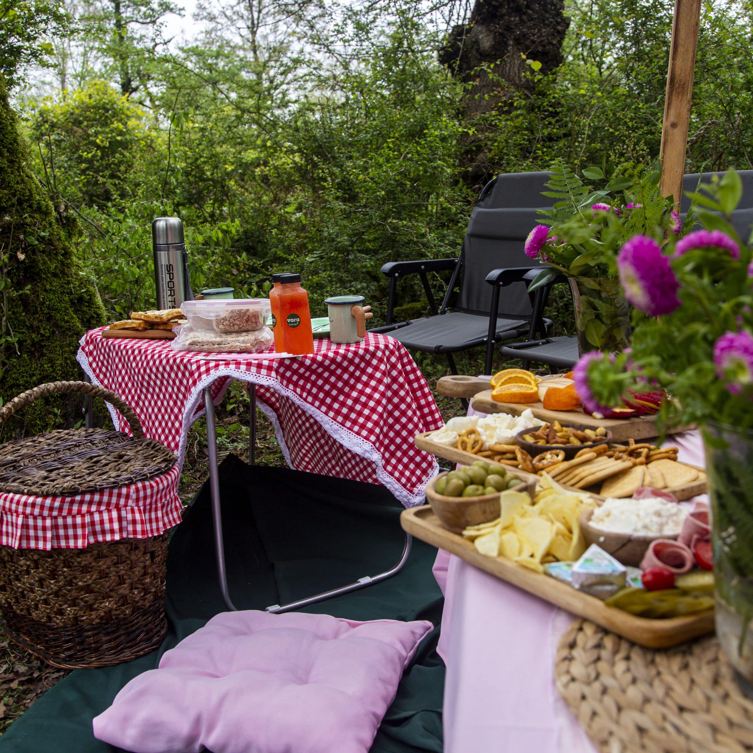 سرویس های پیک نیک جنگلی در اقامتگاه بومگردی