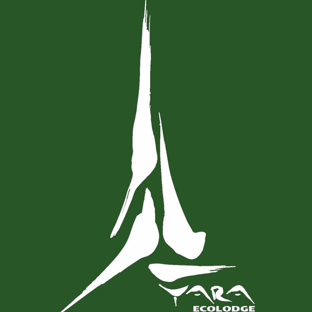 لوگوی اقامتگاه یارا