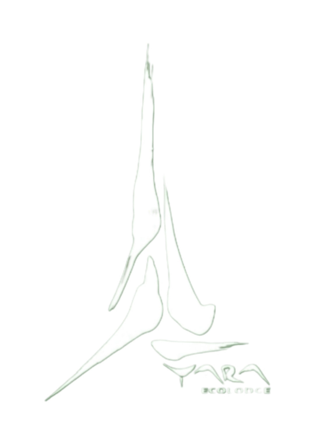 لوگوی اقامتگاه یارا