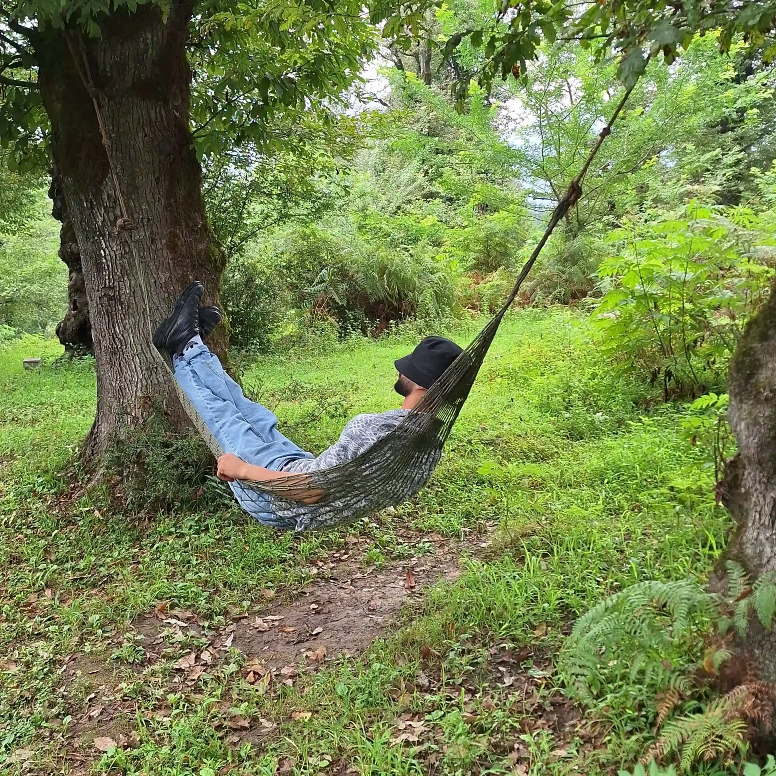 هموک، نانوی مسافرتی و استراحت میان درختان