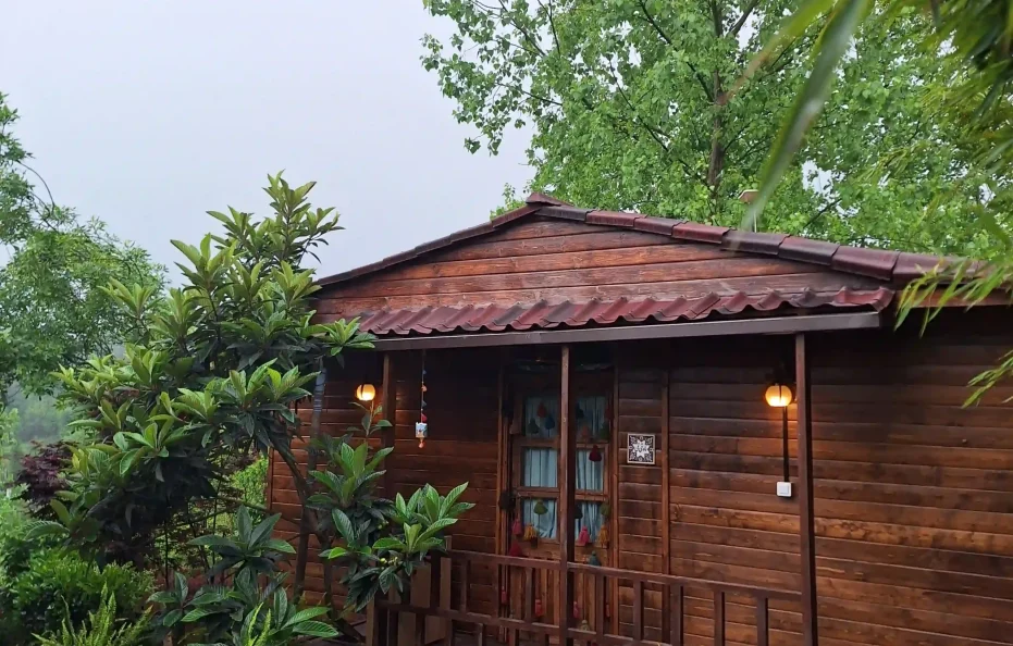 کلبه ماه تی تیvip