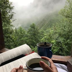 waking up in heart of jungle in yara residency